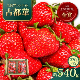 【ふるさと納税】 いちご 古都華 約540g 約270g×2パック 2027年1月発送 冷蔵 小分け 果物 スイーツ デザート フルーツ ベリー ふるさと納税いちご 大粒 採れたて 完熟 おやつ 産地直送 先行予約 数量限定 季節限定 ブランド 苺 イチゴ いちご 岩井農園 奈良県 奈良市