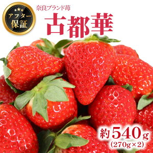 yӂ邳Ɣ[Łz  Ós 540g 270g × 2pbN 2026N1 ①  ʕ XC[c fU[g t[c x[ ӂ邳Ɣ[ł 嗱 ̂ꂽ n  Yn s\