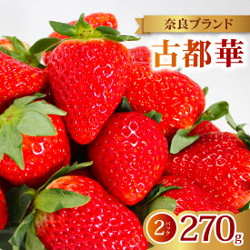 【ふるさと納税】 いちご 古都華 2026年発送 (270g×2パック) 家庭用 予約受付中 数量限定 先行予約 いちご 苺 奈良ブランド苺 イチゴ ブランド 古都華 大粒 苺 旬 産地 直送 フレッシュ 新鮮 フルーツ 果物 くだもの 萩原いちご農園 奈良県 奈良市