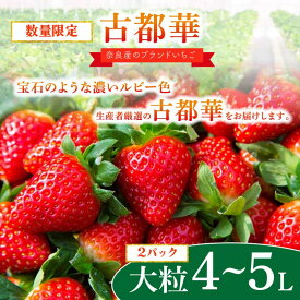 【ふるさと納税】【 数量限定 予約販売 】 ブランド いちご 古都華 2P 宝石のような濃いルビー色 大粒 4L ~ 5L 9~12粒 2026年 1月 以降順次発送 1月 2月 3月 贈答 限定 特選 苺 甘い スイーツ フルーツ 果物 デザート イチゴ 贅沢 限定 なら 奈良 市 古都華カンパニー HJ-05