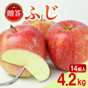 yӂ邳Ɣ[Łz  ӂ 4.2kg 14 p 2025NY ߘa7NY p t[c ʕ XC[c fU[g  ӂ ь S { p Mtg v[g 蕨 ґ 
