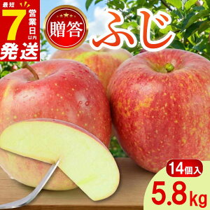 yӂ邳Ɣ[Łz  ӂ 5.8kg 14 1400g`500g  7cƓȓ 12 2025NY t[c ʕ XC[c fU[g  ӂ ь S ringo p Mtg 蕨