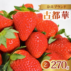 【ふるさと納税】 いちご 古都華 2027年発送 (270g×2パック) 家庭用 予約受付中 数量限定 先行予約 いちご 苺 奈良ブランド苺 イチゴ ブランド 古都華 大粒 苺 旬 産地 直送 フレッシュ 新鮮 フルーツ 果物 くだもの 萩原いちご農園 奈良県 奈良市