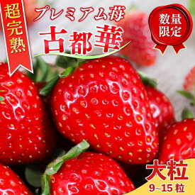 【ふるさと納税】 いちご 古都華 大粒サイズ 1箱 数量限定 冷蔵 いちご ことか 苺 フルーツ 果物 イチゴ strawberry 贈答 ギフト プレゼント 産地直送 季節限定 旬 完熟 奈良県 奈良市 6FARM