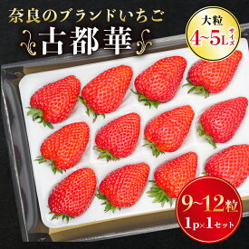 【ふるさと納税】 いちご 古都華 大粒 ことか 9~12粒 1~3セット 4~5Lサイズ 古都華 選べる容量 化粧箱 数量限定 2027年発送 苺 イチゴ 季節限定 完熟 大粒 フルーツ 果物 スイーツ スムージー ケーキ 産地直送 贈答 お歳暮 ギフト プレゼント 古都華カンパニー 奈良県 奈良
