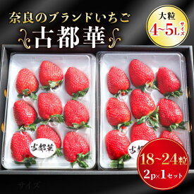 【ふるさと納税】 いちご 古都華カンパニー 大粒 ことか 18~24粒 1セット 4~5Lサイズ 古都華 化粧箱 数量限定 苺 イチゴ 季節限定 旬 フルーツ 果物 スイーツ スムージー ケーキ 産地直送 新鮮 贈答 お歳暮 ギフト プレゼント 奈良県 奈良市
