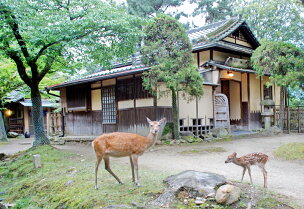 江戸三 1泊2食付宿泊券（2名様1室）有限会社 江戸三 ...