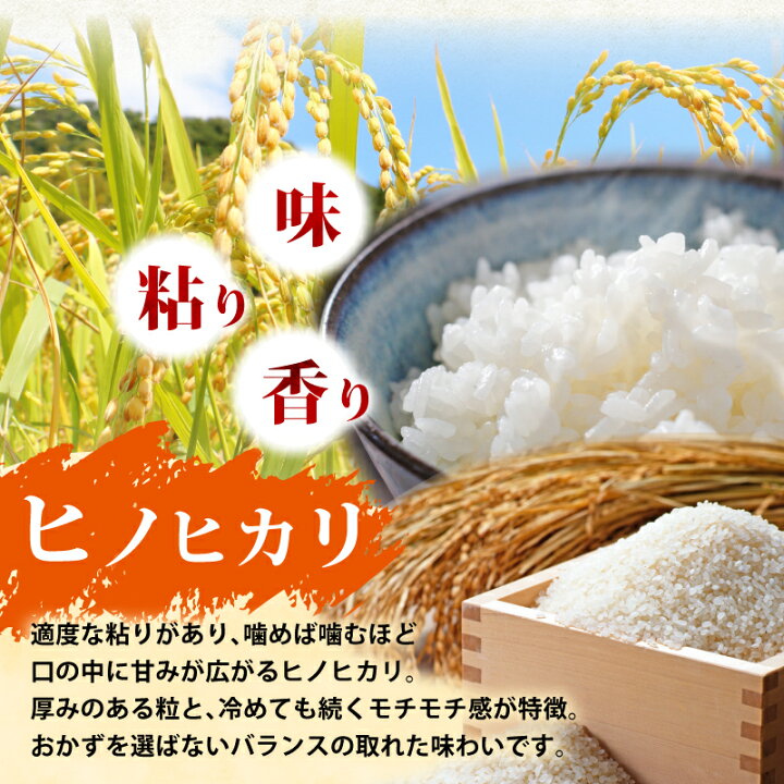 楽天市場】【ふるさと納税】 令和8年産 新米 米 7年 8年 ヒノヒカリ 