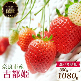 【ふるさと納税】 いちご 先行予約 数量限定 古都姫 約540g 約270g × 2P 約1080g 約270g × 4P 約350g 新鮮 産地直送 厳選 2027年発送 旬 ブランド イチゴ 苺 フルーツ 果物 くだもの 国産 ベリー 贈答用 ストロベリー デザート スイーツ 季節 特産品 奈良市 奈良県