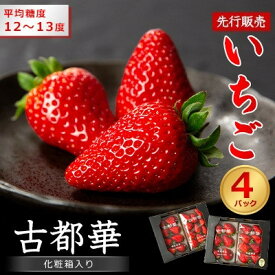 【ふるさと納税】【先行予約】奈良県産いちご　古都華　化粧箱入り4パック【2025年12月中旬から発送】【配送不可地域：離島・北海道・沖縄県】【1137003】