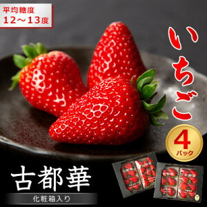 yӂ邳Ɣ[ŁzޗǌY@Ós؁@ϔ4pbNy12{甭z_   ʕ t[c  { lC   Mtg Yn  ① yzsn