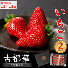 【ふるさと納税】【先行予約】奈良県産いちご　古都華　化粧箱入り2パック【2025年12月中旬から発送】_ いちご 苺 果物 フルーツ くだもの 旬 人気 おすすめ 贈答 ギフト 産地直送 送料無料 冷蔵 【配送不可地域：離島・北海道・沖縄県】【1253928】