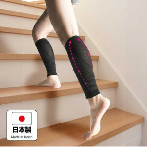 yӂ邳Ɣ[ŁzʈË@T|[^[@NiCANeBu@ubNy1644848z