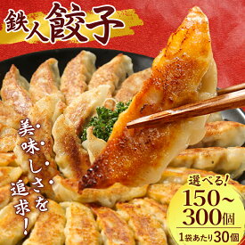 【ふるさと納税】鉄人餃子【150個(30個×5袋) 300個(30個×10袋)】_ 餃子 ギョウザ 総菜 中華 冷凍 人気 おすすめ 送料無料 鉄人 奈良県 薄皮 もっちり 【配送不可地域：離島】【G1373365】