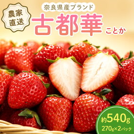 【ふるさと納税】いちご 奈良県産 古都華 約540g(270g× 2パック ) セット 高評価 フルーツ 果物 旬 産地直送 農家直送 完熟 旬のフルーツ 旬の果物 お取り寄せ おやつ デザート ことか イチゴ 冷蔵 冷蔵配送 奈良 大和郡山市　お届け：2026年1月中旬～2026年4月上旬