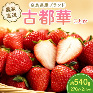 yӂ邳Ɣ[Łz ޗǌY Ós 540g(270g× 2pbN ) Zbg ] t[c ʕ { Yn _ƒ n {̃t[c {̉ʕ   fU[g Ƃ C`S 