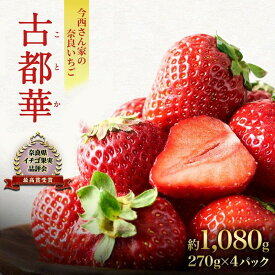 【ふるさと納税】【先行予約】今西さん家の奈良いちご いちご 古都華 約1,080g(270g× 4パック ) フルーツ 果物 旬 糖度 産地直送 農家直送 旬のフルーツ 旬の果物 お取り寄せ おやつ デザート 冷蔵 奈良 大和郡山市　お届け：2026年1月3日～2026年4月上旬まで