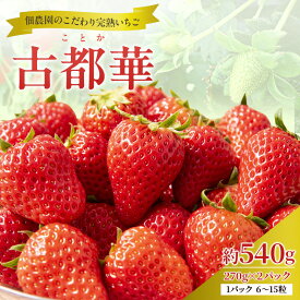【ふるさと納税】【先行予約】いちご 完熟 古都華 約540g(270g× 2パック ) 佃農園のこだわり 高評価 フルーツ 果物 旬 産地直送 旬の果物 おやつ デザート ことか イチゴ 冷蔵 冷蔵配送 奈良県 大和郡山市　お届け：2026年1月上旬～2026年3月下旬
