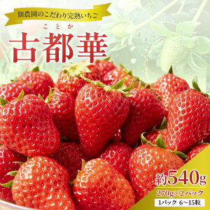 yӂ邳Ɣ[Łzys\z n Ós 540g(270g× 2pbN ) ϔ_̂ ] t[c ʕ { Yn {̉ʕ  fU[g Ƃ C`S ① ①z ޗǌ 