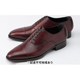 【ふるさと納税】オリジオ紳士靴 ORG-006 ワイン シューズ ビジネスシューズ