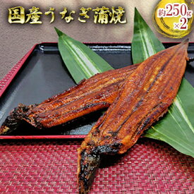 【ふるさと納税】国産うなぎ蒲焼　Aセット　【 鰻 ウナギ かば焼き つまみ 肴 スタミナ おかず 日本食 】