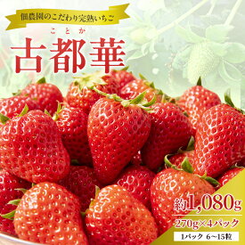 【ふるさと納税】【先行予約】いちご 完熟 古都華 約1,080g(270g× 4パック ) 佃農園のこだわり 高評価 フルーツ 果物 旬 産地直送 デザート ことか イチゴ 苺 冷蔵 冷蔵配送 奈良 奈良県 大和郡山市　お届け：2026年1月上旬～3月下旬