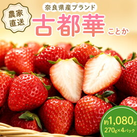 【ふるさと納税】いちご 奈良県産 古都華 約1,080g(270g× 4パック ) セット 高評価 フルーツ 果物 旬 産地直送 農家直送 完熟 旬のフルーツ 旬の果物 お取り寄せ おやつ デザート ことか イチゴ 苺 冷蔵 冷蔵配送 奈良 大和郡山市　お届け：2026年1月中旬～2026年4月上旬
