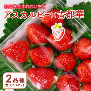 �y�ӂ邳�Ɣ[�Łz�y2026�N1�����o�׊J�n�z�ޗǌ����܂�̂����� �A�X�J���r�[×�Ós�؁@2�i��H�ה�׃Z�b�g �ʕ� �t���[�c ������ � �C�`�S �X�g���x���[ �A�X�J���r�[ �Ós�� ����� �H