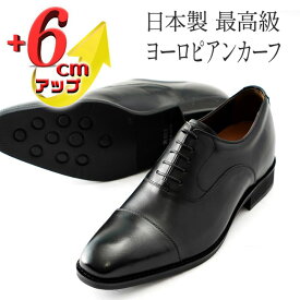 【ふるさと納税】ビジネスシューズ 革靴 6cmアップ シークレットシューズ メンズ ヨーロピアンカーフ 本革 紳士靴 日本製 ストレートチップ 内羽根 紐 レースアップ 牛革 No.CA1301 ブラック