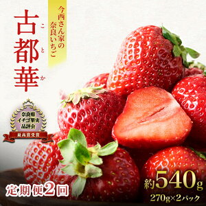 yӂ邳Ɣ[Łzys\zy 2zƂ̓ޗǂ  Ós 540g(270g× 2pbN )@͂F2026N1{`4{܂