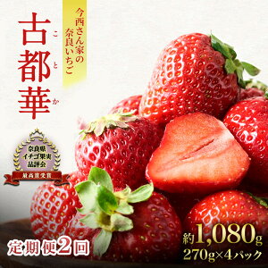 yӂ邳Ɣ[Łzys\zy 2zƂ̓ޗǂ  Ós 1,080g(270g×4pbN )@͂F2026N1{`4{܂