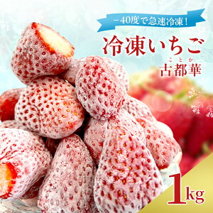 yӂ邳Ɣ[Łz-40xŋ}ⓀI Ⓚ 1kg ( Ós )