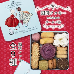 【ふるさと納税】銀河クッキー 詰め合わせ ガールズ缶 9種の焼き菓子詰合せ お菓子 おやつ 焼菓子 クッキー