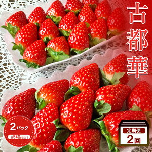 �y�ӂ邳�Ɣ[�Łz�y2026�N1�����{�o�׊J�n�z�y2�����z������ �Ós�� ��270g × 2�p�b�N �t���[�c �ʕ� �{ �Y�n���� �{�̃t���[�c �{�̉ʕ� ������ ����� �f�U�[�g �� ���Ƃ� � �① ��