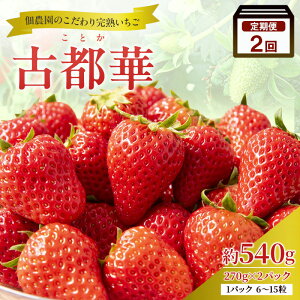 �y�ӂ邳�Ɣ[�Łz�y2�����ցz������ ���n �Ós�� ��540g(270g× 2�p�b�N ) 2026�N1���o�׊J�n ��s�\�� �ޗ� �u�����h �C�`�S �t���[�c�@���͂��F2026�N3��31���܂�