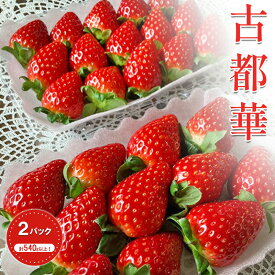 【ふるさと納税】先行予約 いちご 古都華 約270g ×4パック フルーツ 果物 旬 産地直送 旬のフルーツ 旬の果物 お取り寄せ おやつ デザート 希少 ことか 苺 冷蔵 冷蔵配送 奈良 奈良県 BN001　お届け：2027年1月中旬～4月中旬まで
