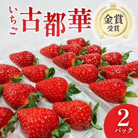 【ふるさと納税】先行予約 いちご　古都華　2パック 金賞受賞 フルーツ 果物 旬 産地直送 デザート ことか イチゴ 苺 冷蔵 奈良 大和郡山　北村農園　お届け：2027年1月中旬から3月下旬まで