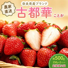 【ふるさと納税】いちご 2回定期 古都華 約500g 250g×2パック 先行予約 高評価 冷蔵配送 フルーツ 果物 旬 産地直送 農家直送 完熟 旬の果物 お取り寄せ おやつ デザート ことか イチゴ 冷蔵 奈良県産 奈良 大和郡山市 BN001　お届け：2027年1月上旬～4月上旬まで