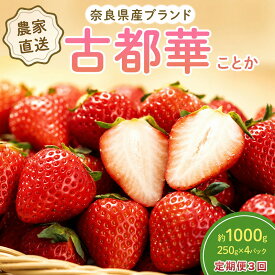 【ふるさと納税】いちご 3回定期 古都華 約1000g 250g×4パック 先行予約 高評価 冷蔵配送 フルーツ 果物 旬 産地直送 農家直送 完熟 旬の果物 お取り寄せ おやつ デザート ことか イチゴ 冷蔵 奈良県産 奈良 大和郡山市 BN001　お届け：2027年1月上旬～4月上旬まで