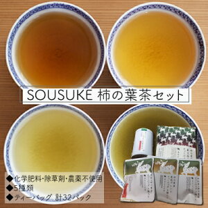 yӂ邳Ɣ[ŁzSOUSUKE @`̗tZbgy1076157z