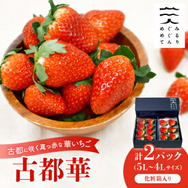 【ふるさと納税】古都に咲く真っ赤な華いちご「古都華」(270g以上/5L～4Lサイズ/6～8粒)×2P　化粧箱入り【配送不可地域：離島】【1102951】