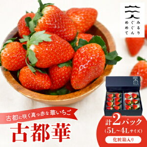 yӂ邳Ɣ[ŁzÓsɍ炭^Ԃȉ؂uÓs؁v(270gȏ/5L`4LTCY/6`8)×2P@ϔyzsnFzy1102951z