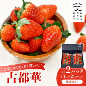 【ふるさと納税】古都に咲く真っ赤な華いちご「古都華」(270g以上/3L～2Lサイズ/9～11粒)×2P　化粧箱入り【配送不可地域：離島】【1102952】