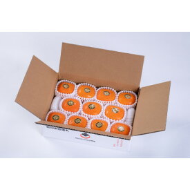 【ふるさと納税】【R8年10月中下旬～11月の発送】種なし柿　2L～M　9個～12個【配送不可地域：離島】【1233076】