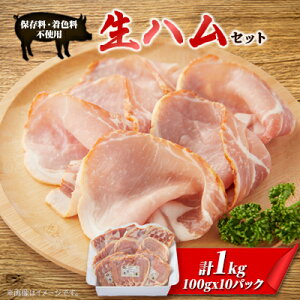 yӂ邳Ɣ[ŁzS[hEV[Hi̐nZbg(10)yzsnFzy1331211z