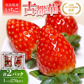 【ふるさと納税】【2025年12月下旬順次発送】奈良県産いちご「古都華」2パック【配送不可地域：離島】【1556700】