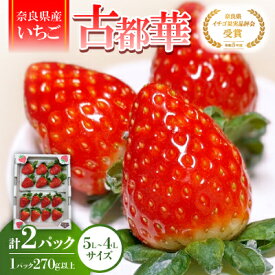 【ふるさと納税】【2025年12月下旬順次発送】《希少品》奈良県産いちご「古都華」大粒(5L～4Lサイズ )2パック【配送不可地域：離島】【1556701】
