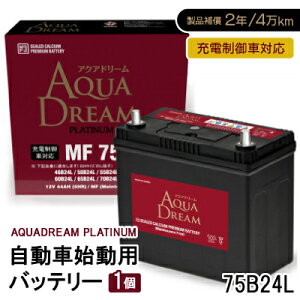 yӂ邳Ɣ[ŁzAQUADREAM PLATINUM Ԏnpobe[ [dԑΉ 75B24L 1yzsnFꌧzy1565893z