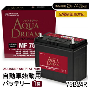 yӂ邳Ɣ[ŁzAQUADREAM PLATINUM Ԏnpobe[ [dԑΉ 75B24R 1yzsnFꌧzy1565899z