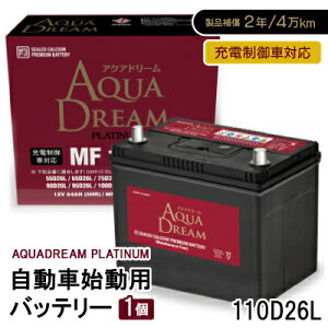 yӂ邳Ɣ[ŁzAQUADREAM PLATINUM Ԏnpobe[ [dԑΉ 110D26L 1yzsnFꌧzy1565916z
